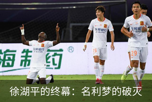 徐湖平的终幕：名利梦的破灭